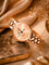 LOOKWN6_C2_RG
